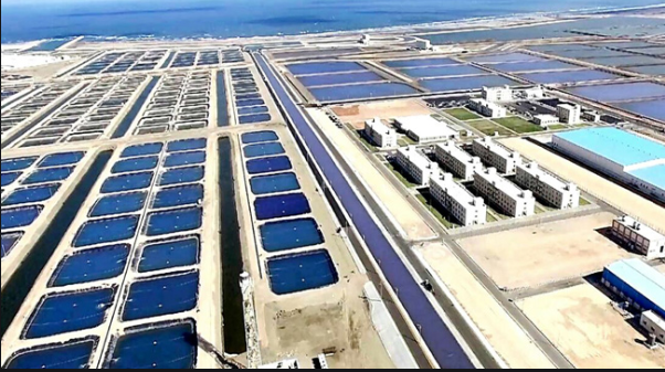 Aquaponics farm project description