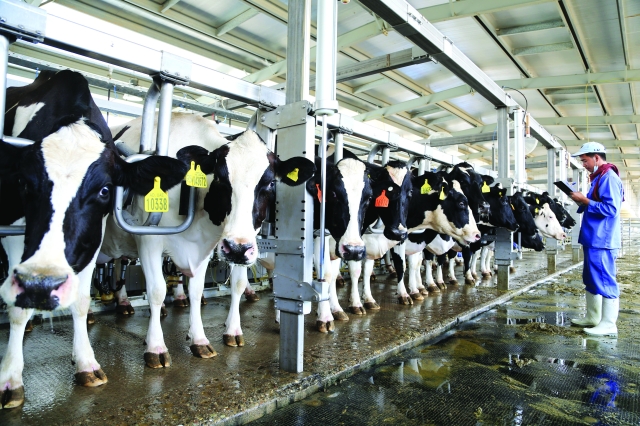 مؤشرات القطاع