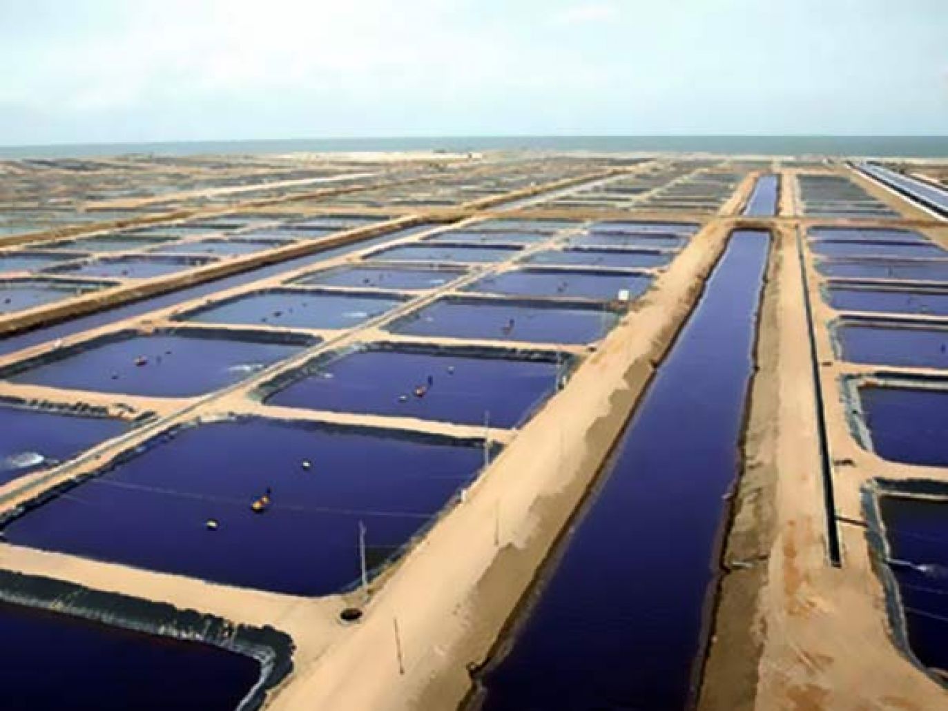 مؤشرات القطاع