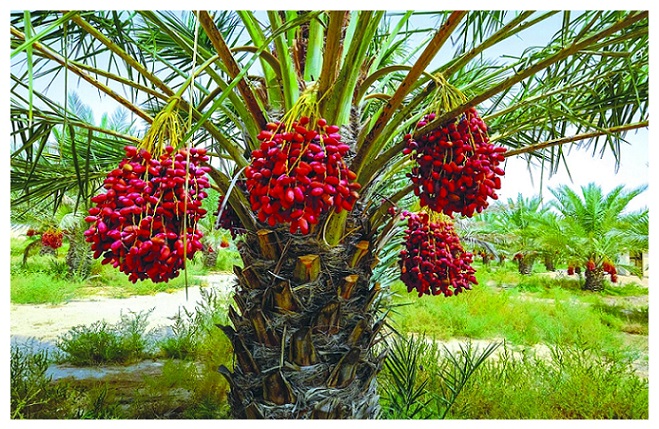 مؤشرات القطاع