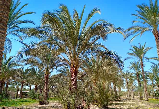 مؤشرات القطاع