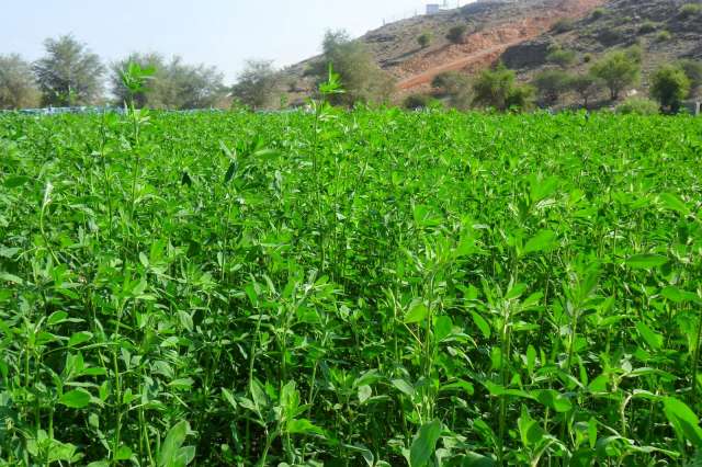 مؤشرات القطاع