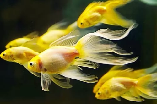 مؤشرات القطاع