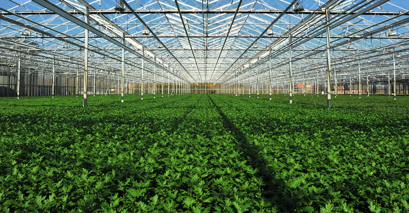 مؤشرات القطاع