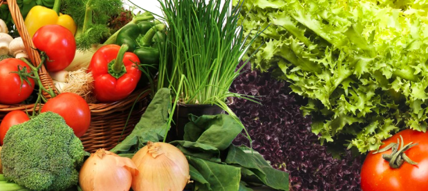 مؤشرات القطاع