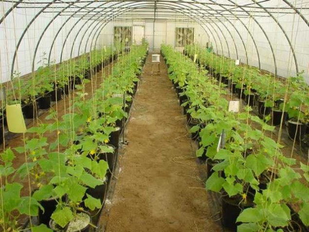 مؤشرات القطاع