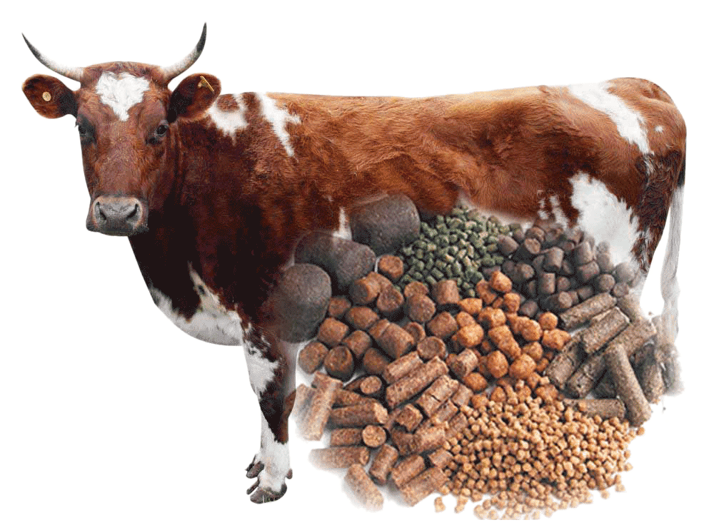 مؤشرات القطاع