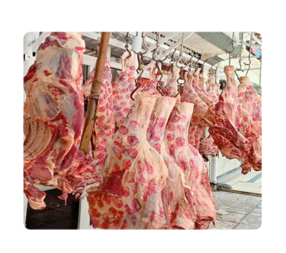 مؤشرات القطاع