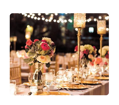 مؤشرات القطاع