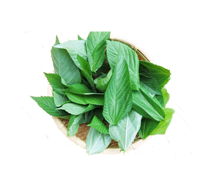 مؤشرات القطاع