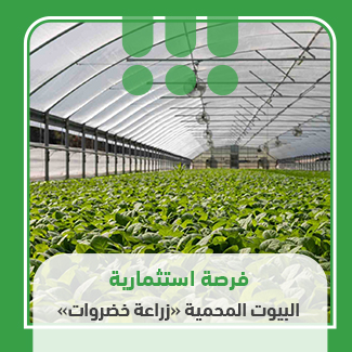 Greenhouses 