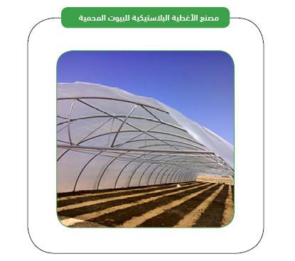 Project Products