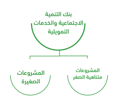 بنك التنمية الاجتماعية والخدمات التمويلية