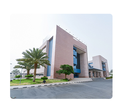 مؤشرات القطاع