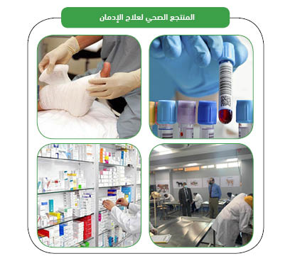 خدمات المشروع