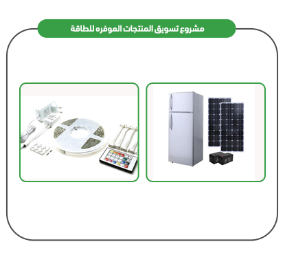 Project services