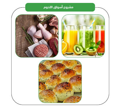 منتجات المشروع