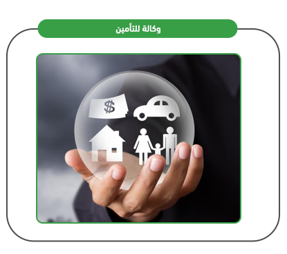 خدمات المشروع