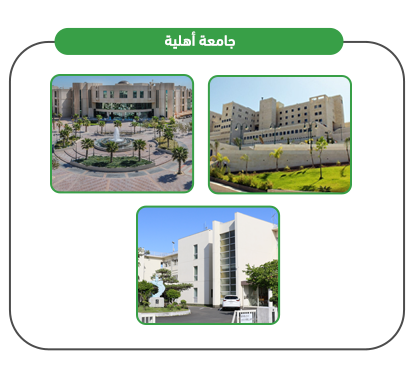 Private University Project Services