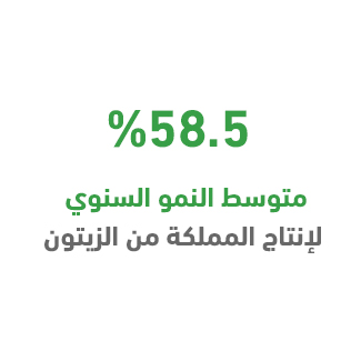   Why an olive press in Saudi Arabia?  