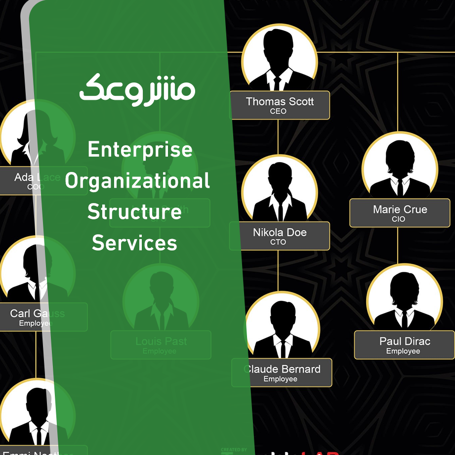 Enterprise Organizational Structure